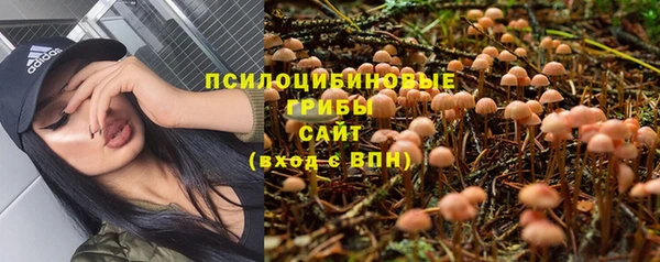 альфа пвп Надым