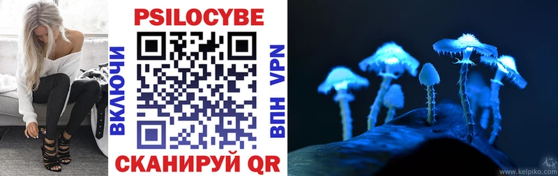 Псилоцибиновые грибы мицелий  Мураши 